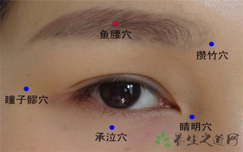眼袋按摩什么穴位