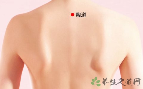 背部正中脊柱两侧是什么穴位