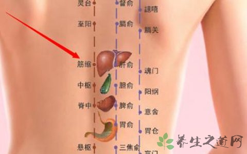 背部正中脊柱两侧是什么穴位