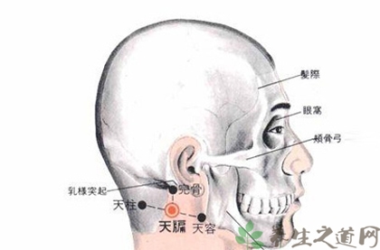 天牖穴的准确位置图天牖穴位于人体的颈侧部,当乳突的后下方,平下颌角