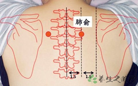 背部正中脊柱两侧是什么穴位