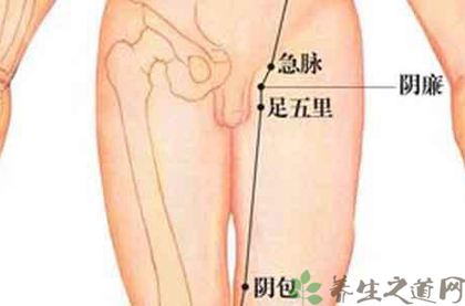 怎样找阴廉穴位