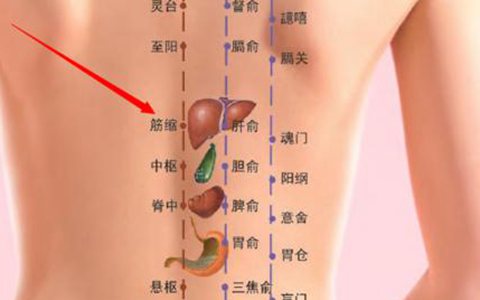 背部正中脊柱两侧是什么穴位