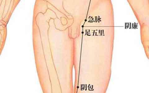 怎样找阴廉穴位