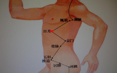 辄筋穴在哪里_辄筋穴的准确位置图