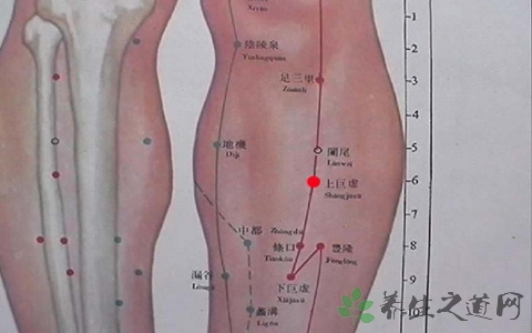 如何找足三里穴位