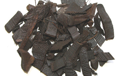 棕榈炭的功效与作用_棕榈炭的药用价值