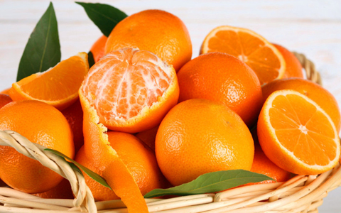 橘白的功效与作用_橘白的药用价值
