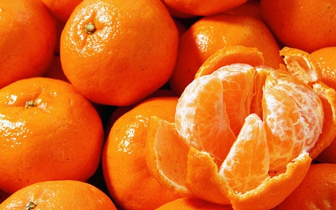 橘皮的功效与作用_橘皮的药用价值