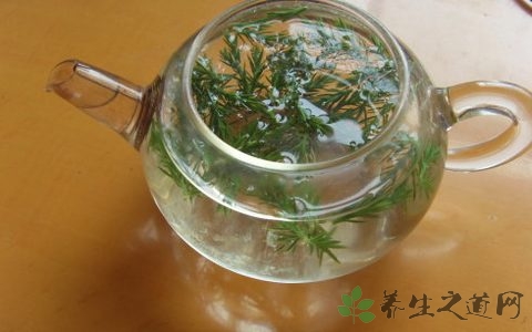 松针茶的副作用