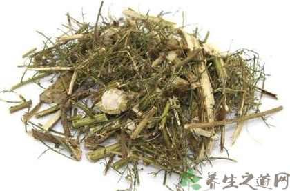 青蒿的功效与作用_青蒿的药用价值