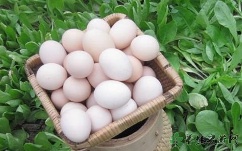 鹅蛋的功效与作用_鹅蛋的药用价值