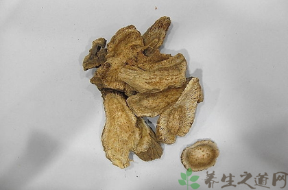 木香的功效与作用_木香的药用价值