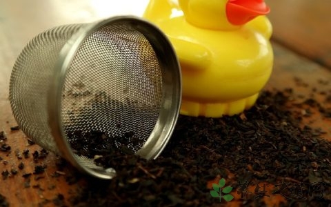 铁观音属于什么茶是红茶吗