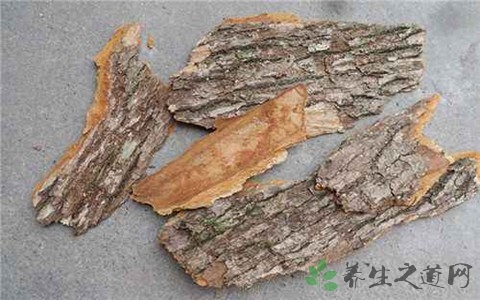 樟树皮的药用价值_樟树皮的副作用