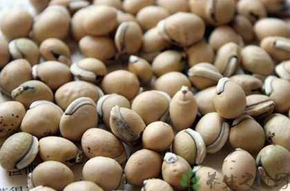 白扁豆的功效与作用_白扁豆的药用价值