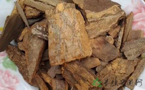 樟树皮的药用价值_樟树皮的副作用