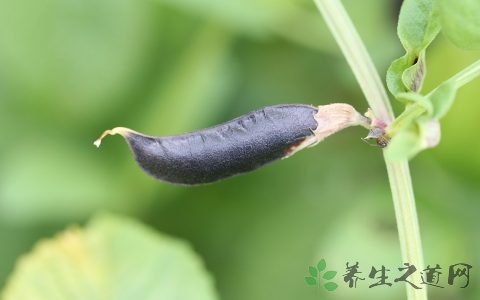 耳水不平衡症状