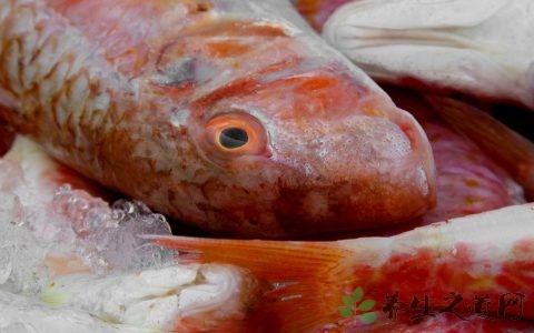 急性胃炎能吃鱼吗