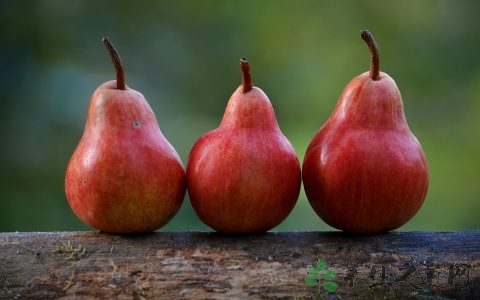 急性胃炎能吃梨吗