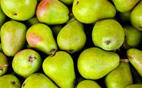 急性胃炎可以吃梨吗