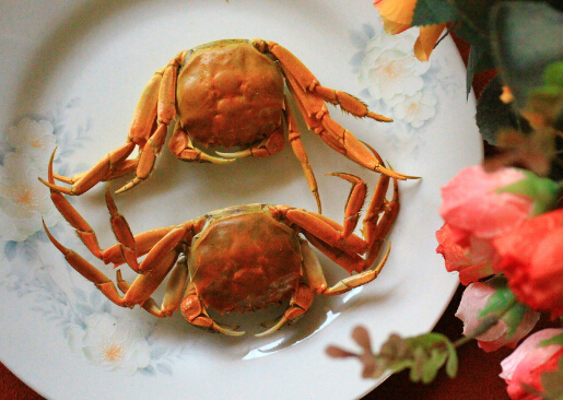 吃螃蟹的禁忌-吃螃蟹不能吃什么？