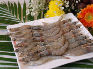 食用青虾的注意事项-青虾的营养价值