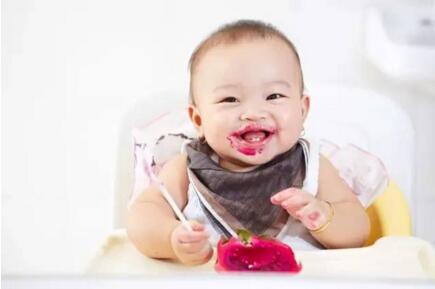 婴儿可以吃火龙果吗？