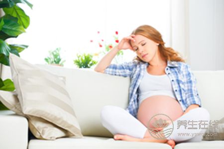 15周胎儿发育情况