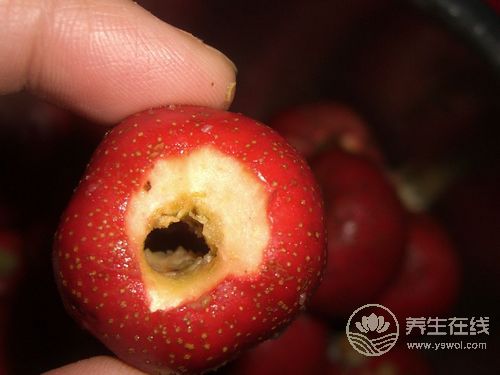 过年过节吃得太油腻，推荐你吃6种解腻食物