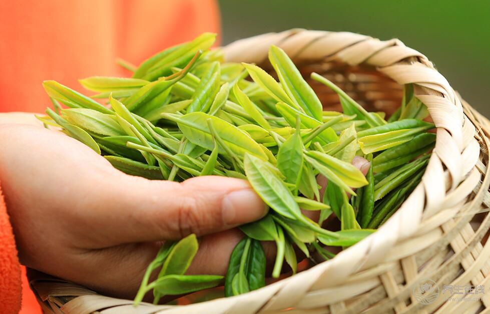 食物越新鲜越有营养？不全是这样