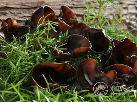 有毒！千万不要这样吃的7样食物