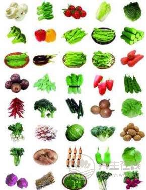 蔬菜的营养功效排行 你都知道吗？