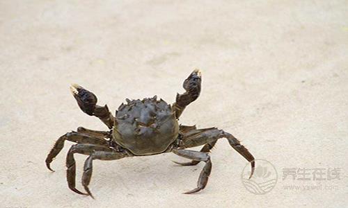 九月吃什么螃蟹好 六种螃蟹做法最肥美