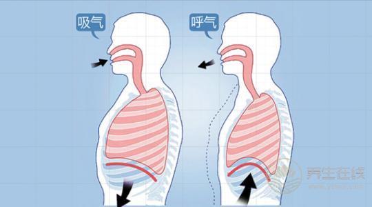 做梦睡不好是因为“血虚”，教你如何养血，从根本解决身体病灶