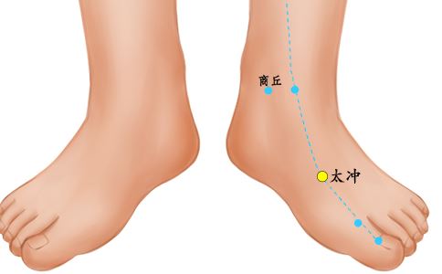 中医教你百病不生的秘诀