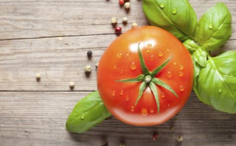 西红柿里为什么会长豆芽？