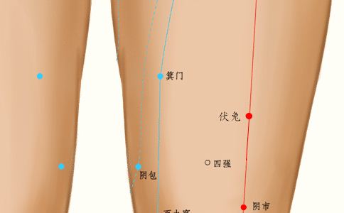 保养女人卵巢的穴位 卵巢穴位 卵巢穴位图