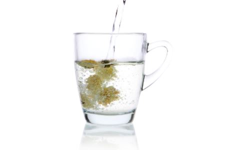 胎菊泡水喝的功效 喝胎菊有什么好处 泡水喝的好处