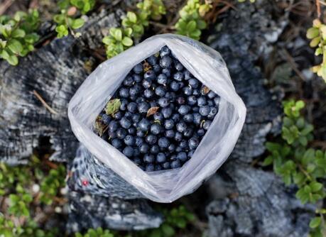 蓝莓的10大功效与7种吃法