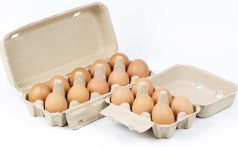 鸡蛋 吃鸡蛋的注意 每天吃多少鸡蛋
