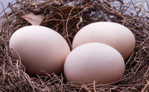 吃鸡蛋的注意 哪些鸡蛋不能吃 吃鸡蛋的禁忌