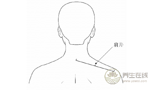 常按4个穴位，预防冬季感冒