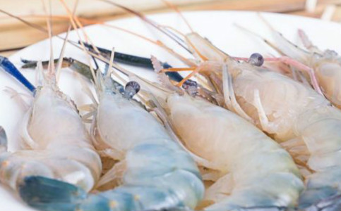 青虾的做法 青虾的营养 青虾的食谱