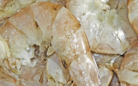 基围虾的做法 基围虾怎么做 基围虾的营养