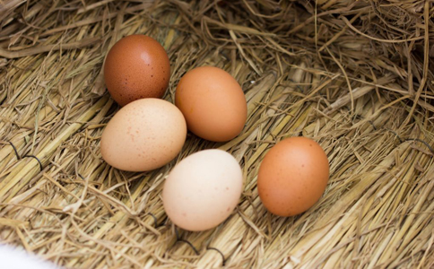 毛鸡蛋有营养吗 孕妇能多吃鸡蛋吗 鸡蛋不能跟什么一起吃