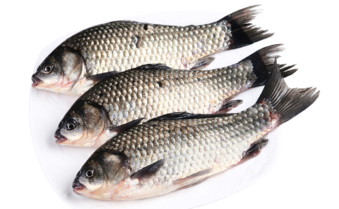 鱼的大小决定口感 买鱼应该挑选多大的鱼 鱼怎么做好吃