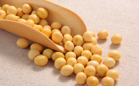 黄豆的功效与作用 吃黄豆有哪些作用 黄豆的功效有哪些
