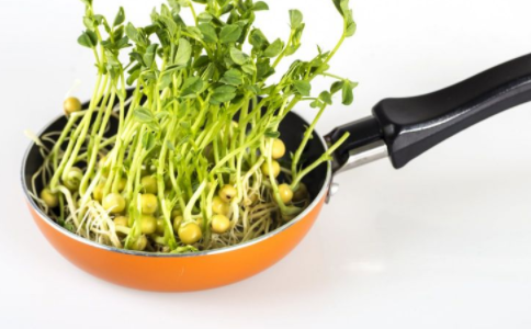 损害肝功能的蔬菜 什么蔬菜会损害肝功能 肝功能不好不能吃什么