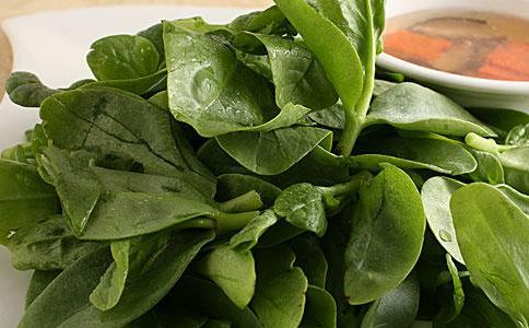 什么是木耳菜 木耳菜的营养价值 木耳菜的食疗功效 木耳菜